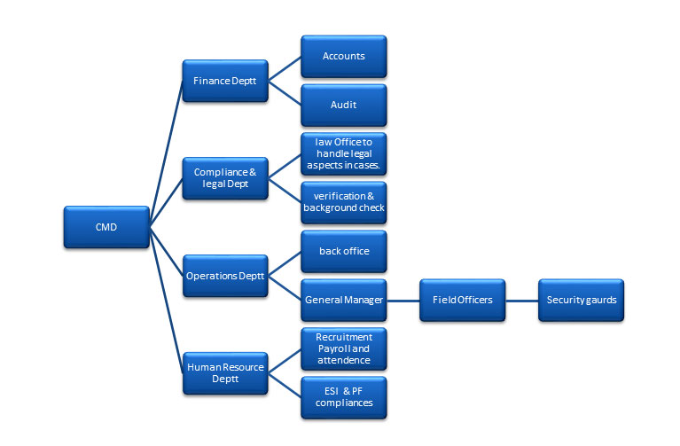 organization structure